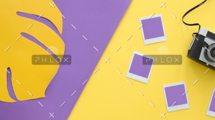 retro-camera-and-mockup-photos-PBGDPCN